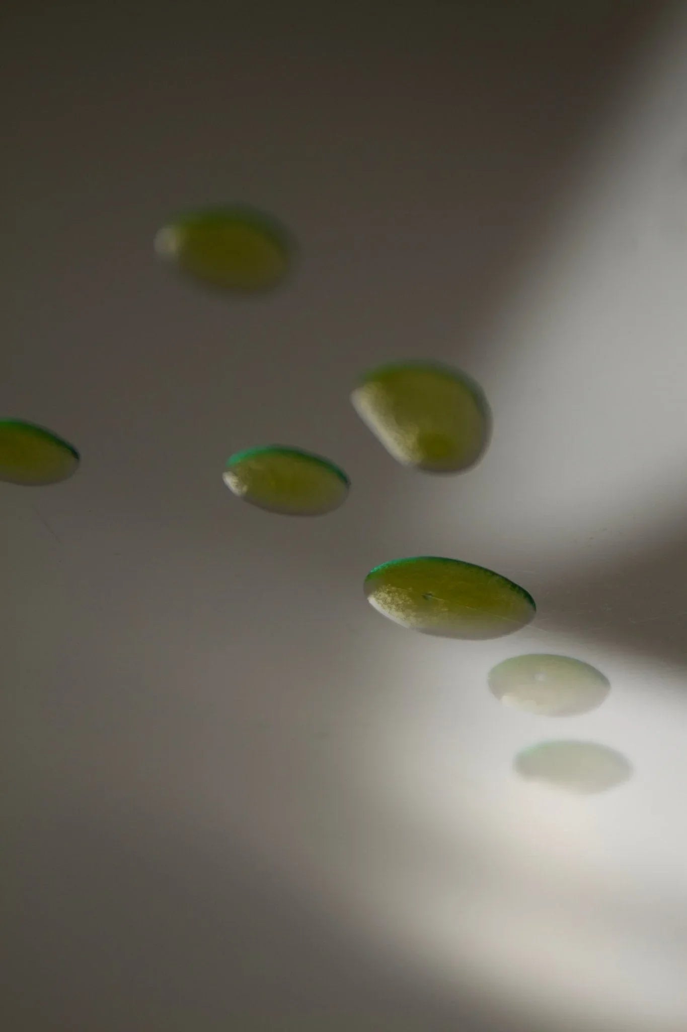 Summer Solace Tallow Mountain Song Body and Hair Oil – Petrichor, Gardenia, Honeysuckle (Limited Edition)