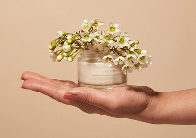 M.S Skincare ROSEWATER CREAM - Image 1