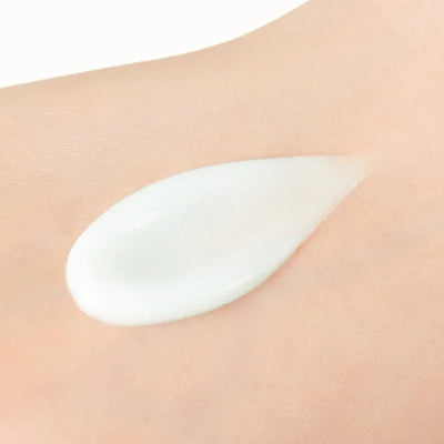 Nature Republic Super Aqua Max Fresh Watery Cream (Oily Skin) - Image 2