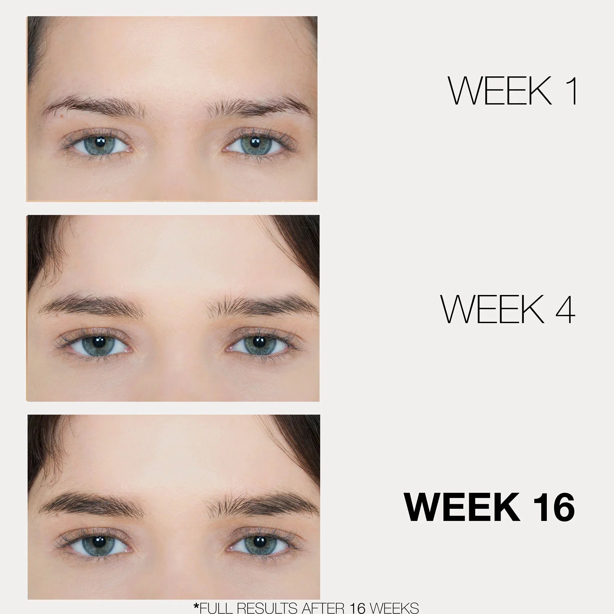 LASHFOOD Eyebrow Enhancing Serum, 3 Month Supply