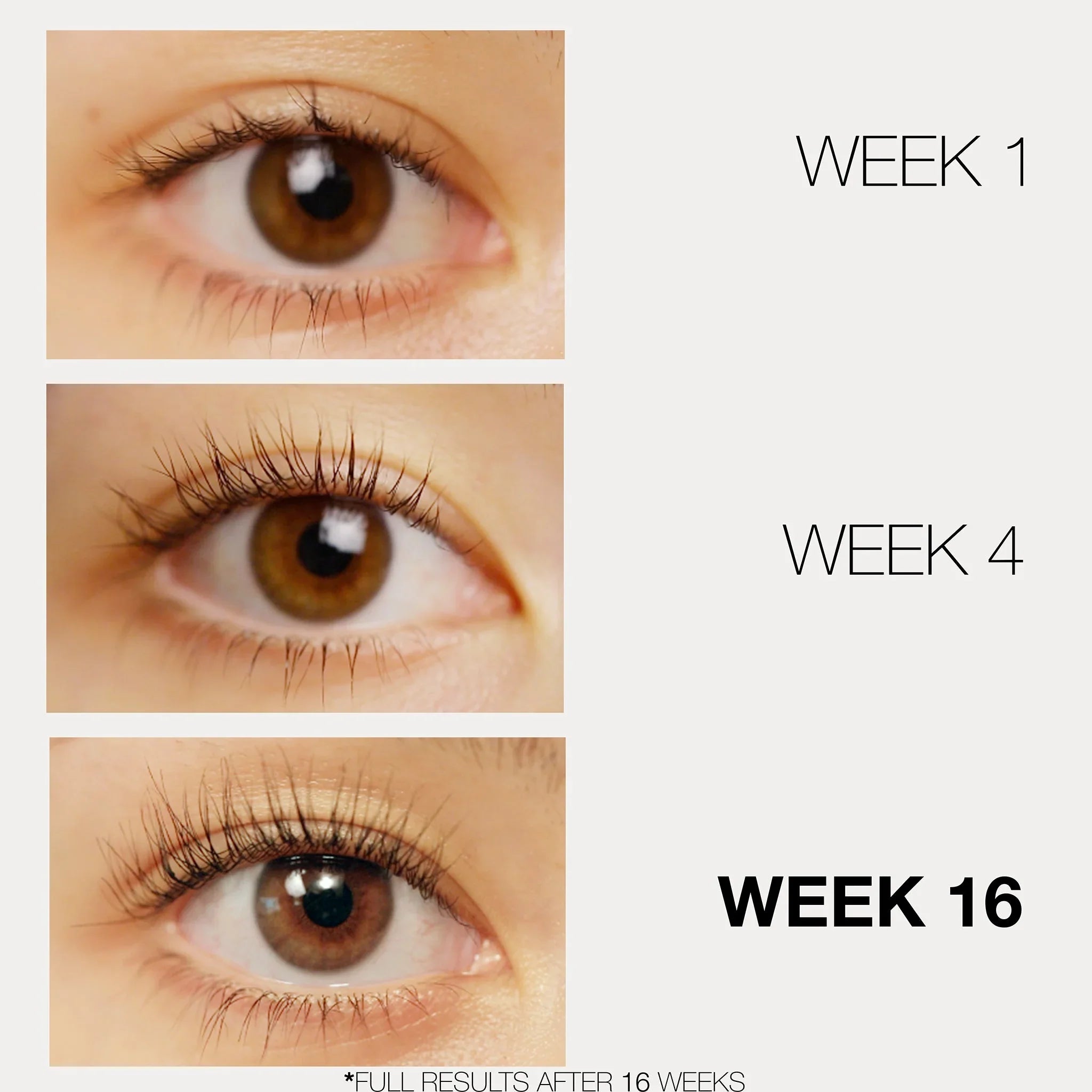 LASHFOOD Eyelash Enhancing Serum, 3 Month Supply