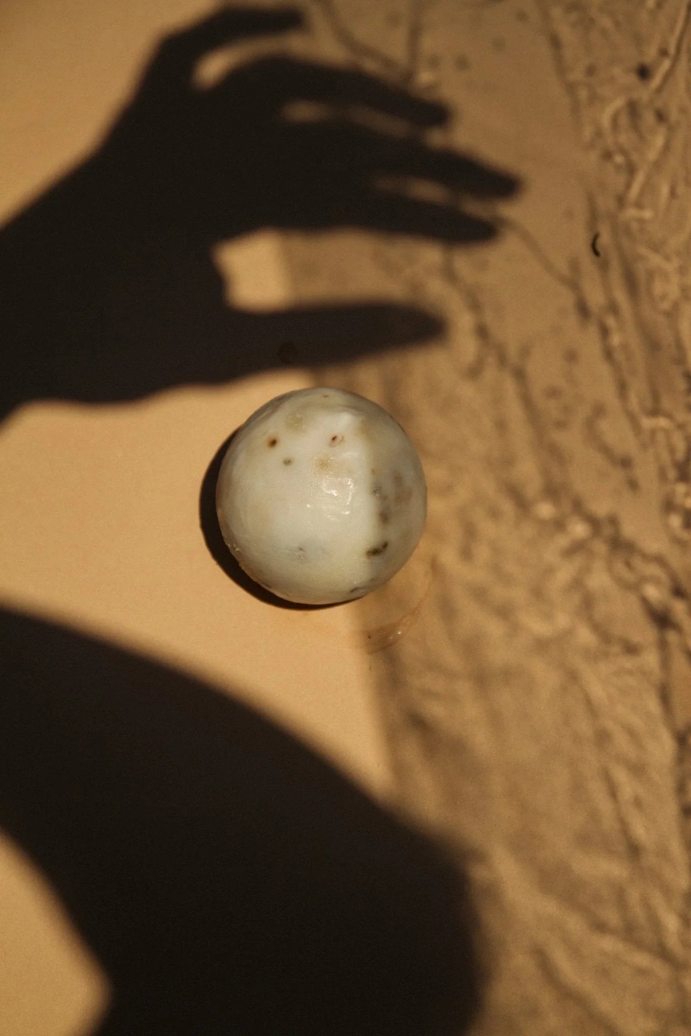 Summer Solace Tallow Sea Change – Seaweed Sphere Soap | Bladderwrack & Neroli