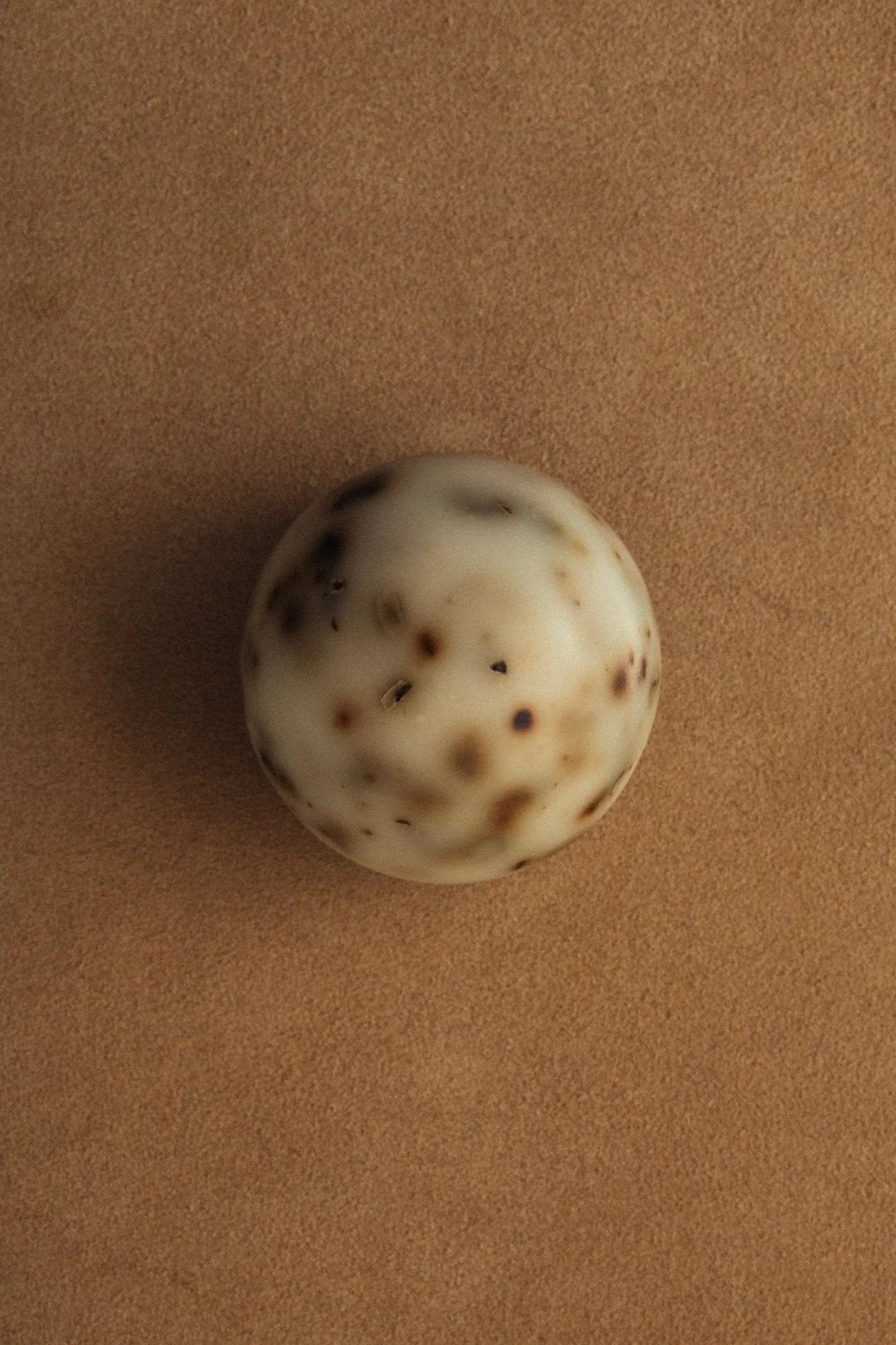 Summer Solace Tallow Sea Change – Seaweed Sphere Soap | Bladderwrack & Neroli