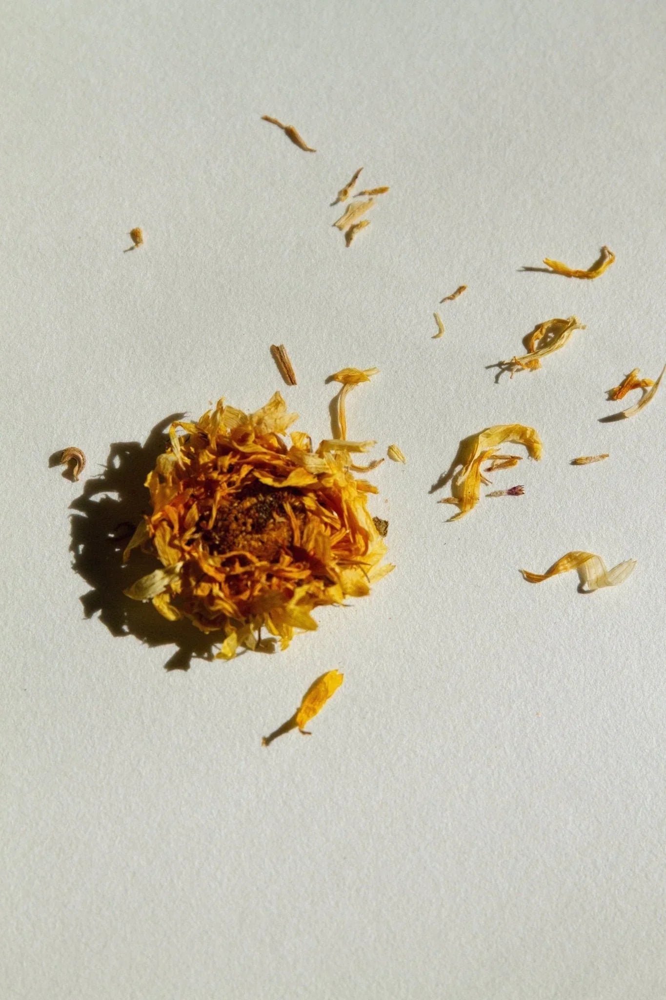 Summer Solace Tallow SEELE – Exfoliating Sea Salt Scrub | Celtic Salt®, Choya Nākh, Sage & Coriander