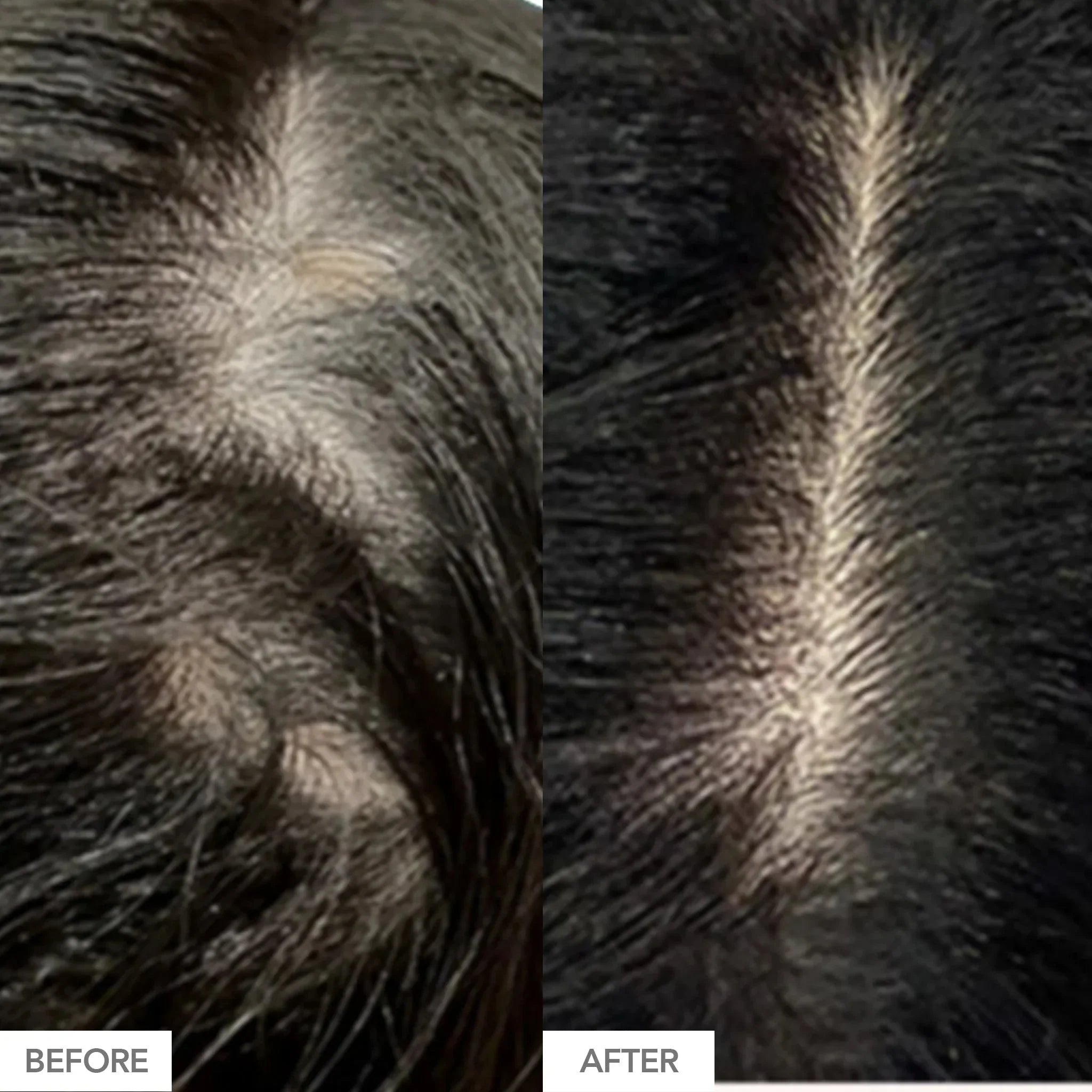 HAIRtamin Gorgeous Growth Scalp Serum