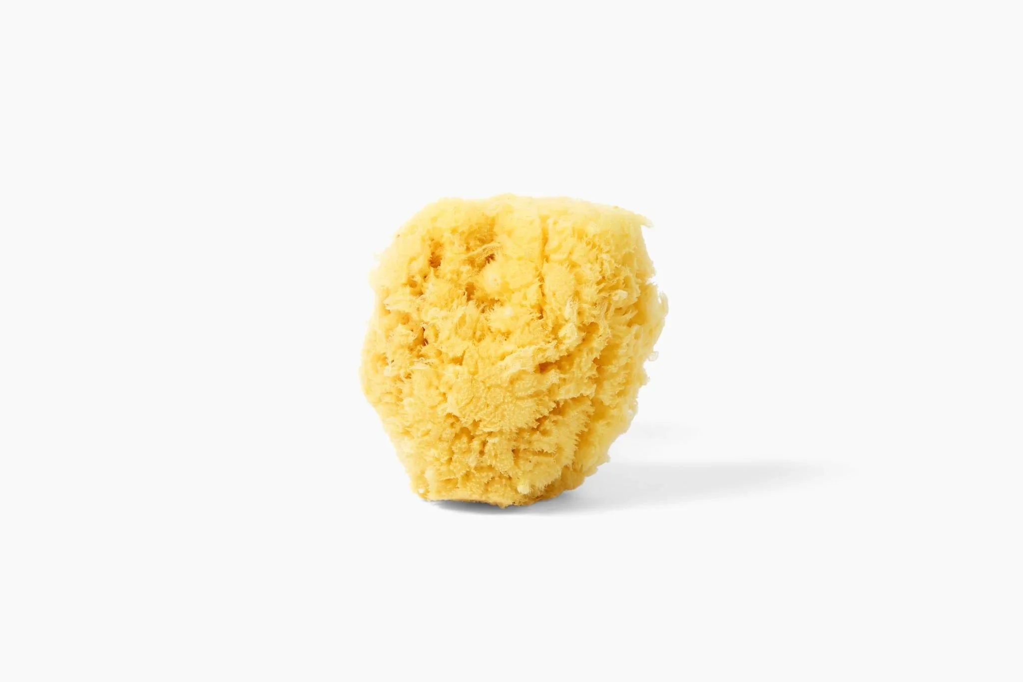 The Wellness Apothecary Silk Sponge