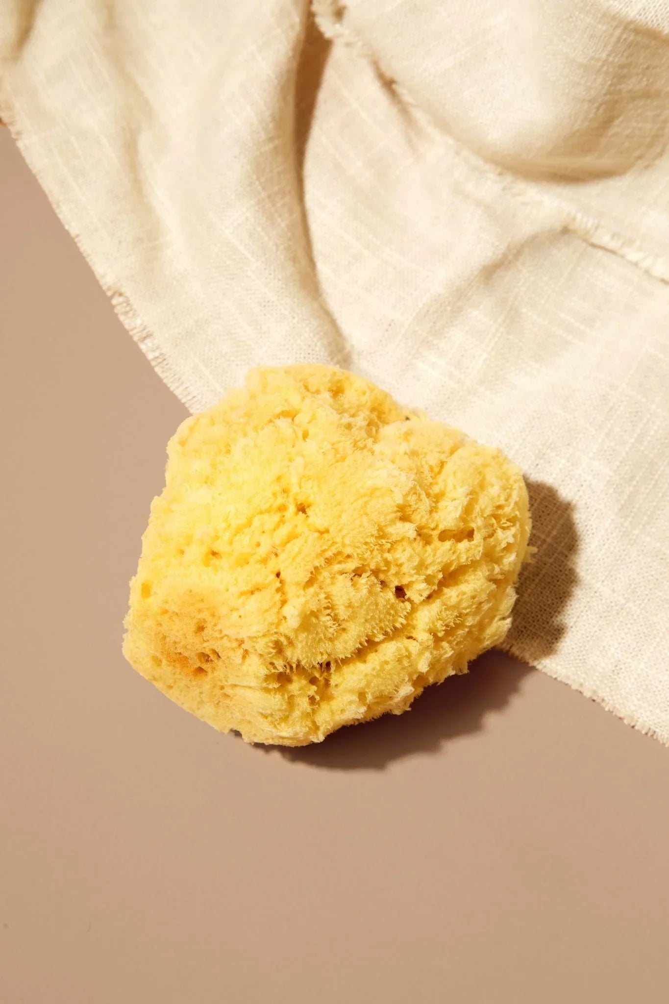 The Wellness Apothecary Silk Sponge